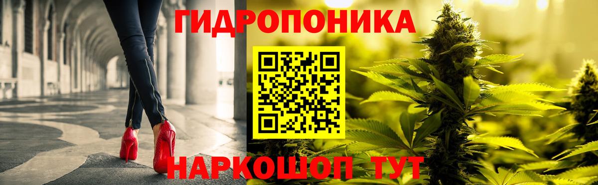 Конопля LSD WEED  Вход с VPN  Оренбург  Каннабис SATIVA & INDICA  МАРИХУАНА OG Kush  Марихуана White Widow 